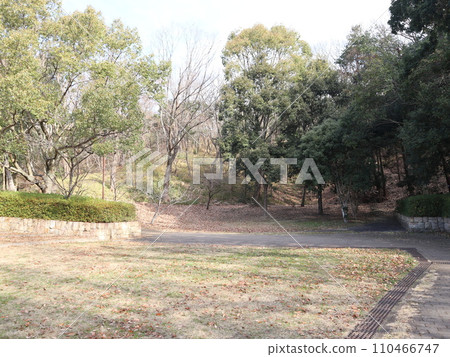 一月的西神中央公園 神戶市西區公園 一月的西神中央公園 神戶市西區公園 110466747