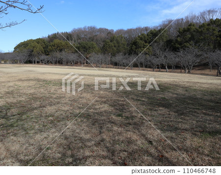 Seishin Central Park in January Kobe City Nishi Ward Park Seishin Central Park in January Kobe City Nishi Ward Park 110466748