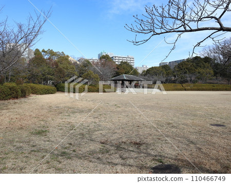 一月的西神中央公園 神戶市西區公園 一月的西神中央公園 神戶市西區公園 110466749