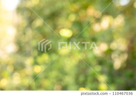 球體散景綠色黃昏傍晚背景素材冬季素材 110467036