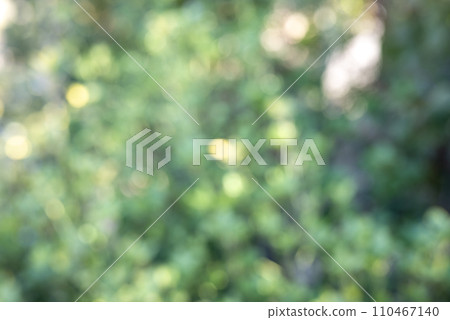 Ball bokeh green background material winter material 110467140