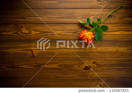 one red beautiful blooming rose on a wooden table 110467855