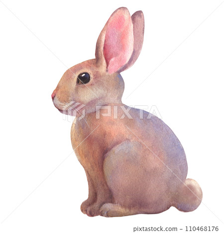 Easter rabbit watercolor. Cute vintage bunny isolated on white background. Hand painted illustration for happy holidays. Drawing on isolated white background for greeting cards or invitations. 110468176