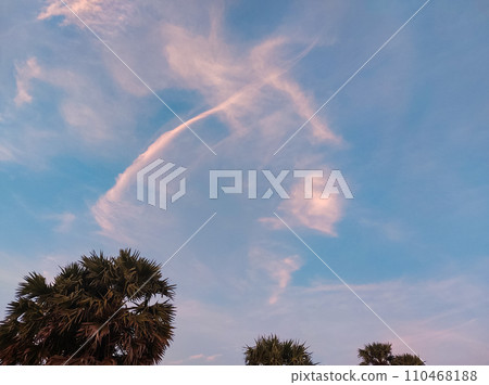 Wispy clouds against a blue sky with silhouettes of palm trees on a tropical summer sunset Wispy clouds against a blue sky with silhouettes of palm trees on a tropical summer sunset 110468188