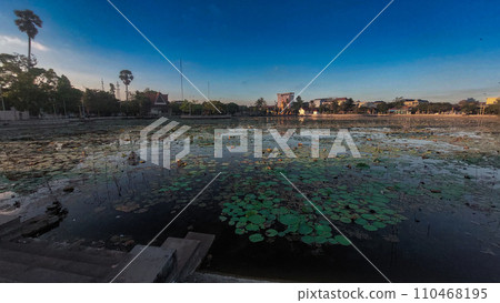 Tranquil lotus pond with water lilies at dusk called Srah Chhouk in the middle of Kampot town in Cambodia Tranquil lotus pond with water lilies at dusk called Srah Chhouk in the middle of Kampot town in Cambodia 110468195