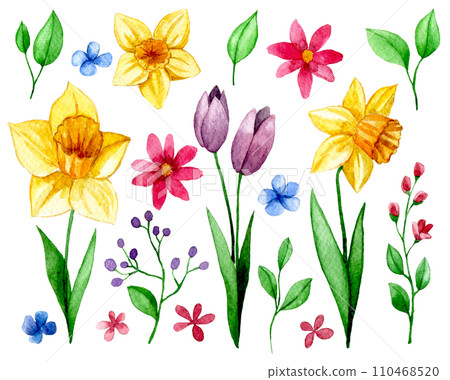 set with spring flowers. watercolor drawing of daffodils, tulips, cosmos, leaves and branches 110468520