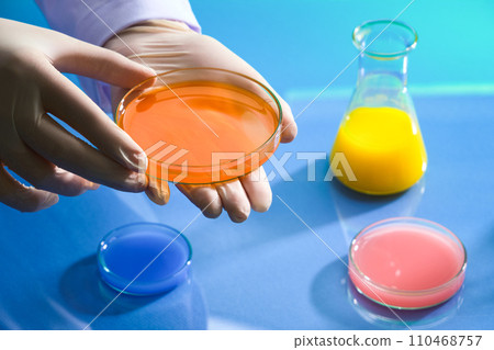 Hand model wearing medical gloves with a glass petri dish of orange chemical liquid. Liquid in blue, pink and yellow color featured inside few glassware. Science laboratory research concept 110468757