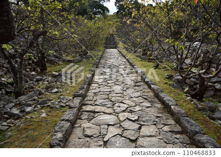 Scenery of the ruins of Nakijin Castle, a world heritage site in Okinawa 110468833