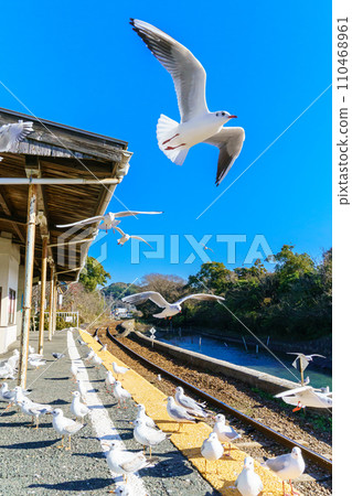 Yurikamome at Hamanako Sakume Station 110468961