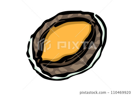 Illustration of abalone 110469920