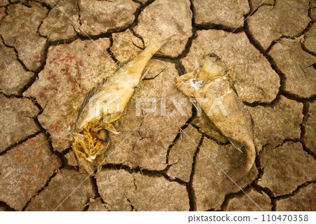 sea drought change of climate heat water sea drought change of climate heat water 110470358