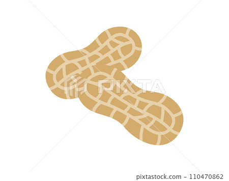 Illustration of peanut icon Illustration of peanut icon 110470862