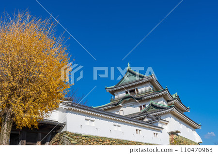 和歌山市和歌山城大天守閣 和歌山市和歌山城大天守閣 110470963