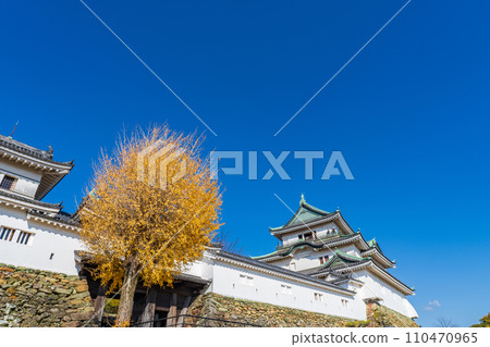 Wakayama City Wakayama Castle's large castle tower and second gate turret 110470965