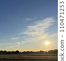 Rice field and sunset 110471253