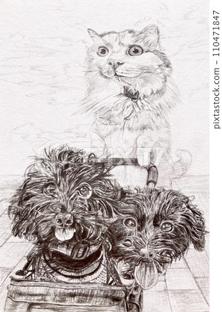 dog walking by cat 110471847