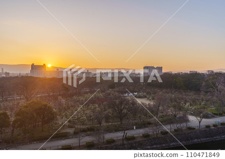 從大阪城月見櫓遺址看到大阪城梅林的美妙晨景 從大阪城月見櫓遺址看到大阪城梅林的美妙晨景 110471849