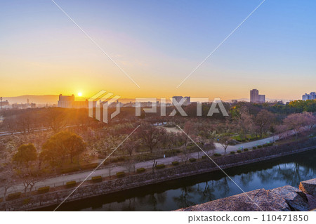 從大阪城月見櫓遺址看到大阪城梅林的美妙晨景 從大阪城月見櫓遺址看到大阪城梅林的美妙晨景 110471850