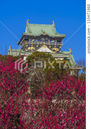 Osaka Castle castle tower seen from the Osaka Castle plum grove in full bloom 110471868