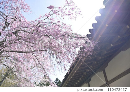 Stroll around Ohara Sanzen-in Temple in Kyoto Stroll around Ohara Sanzen-in Temple in Kyoto 110472457