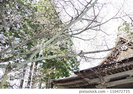 漫步京都大原三千院 漫步京都大原三千院 110472735