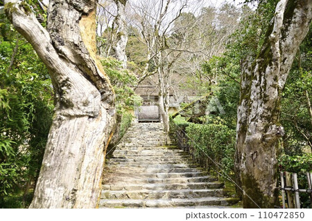 Stroll around Ohara Jakkoin Temple in Kyoto Stroll around Ohara Jakkoin Temple in Kyoto 110472850