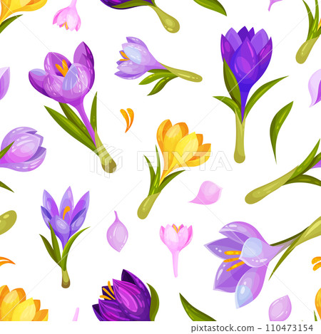 Crocus Flower Seamless Pattern with Yellow and Purple Meadow Flora Vector Template 110473154