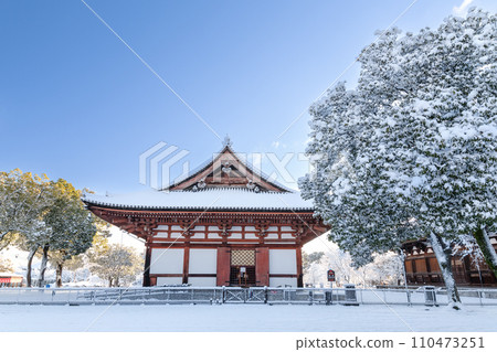 Toji Temple / auditorium 110473251