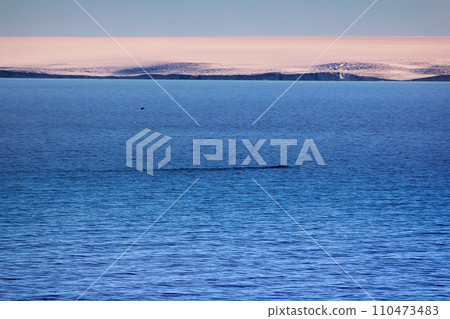 Arctic Islands Glaciers, snowfields and rock outcrops Arctic Islands Glaciers, snowfields and rock outcrops 110473483
