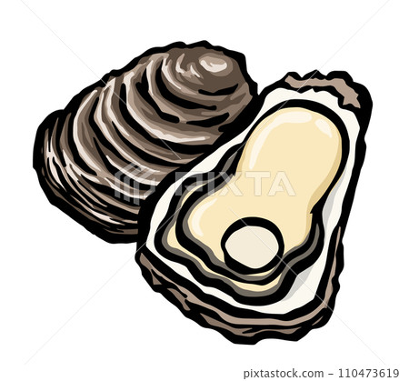 岩牡蠣(岩牡蠣)手繪線描插圖 岩牡蠣(岩牡蠣)手繪線描插圖 110473619