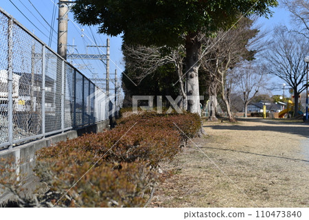 冬季公園入口 110473840