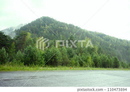 Evergreen Forest Overview. Tops of Tall Green Trees with Dense Fog Rolling Over Evergreen Forest Overview. Tops of Tall Green Trees with Dense Fog Rolling Over 110473894