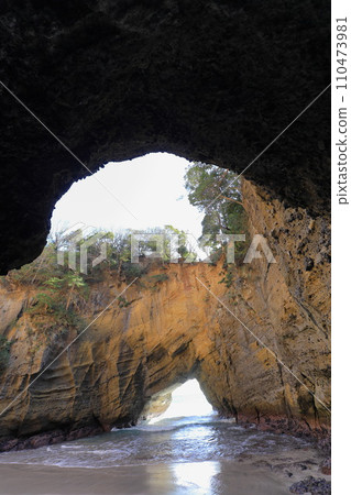 Ryugaku cave 110473981