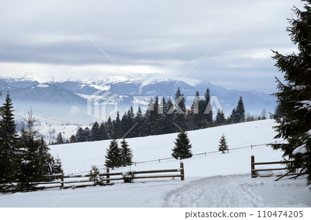 Winter landscape with dark spruse trees of snow covered forest in cold mountains 110474205