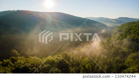 Vibrant foggy evening over dark forest trees at bright summer sunset. Amazingl scenery of wild woodland at dusk. 110474244