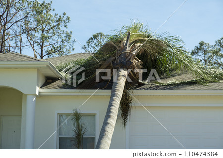 Tree damage to home rooftop after hurricane in Florida. Fallen down debris after strong tropical storm winds. Consequences of natural disaster Tree damage to home rooftop after hurricane in Florida. Fallen down debris after strong tropical storm winds. Consequences of natural disaster 110474384