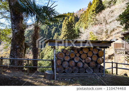 東京檜原村、重要文化遺產小林家住宅、播種者小屋 東京檜原村、重要文化遺產小林家住宅、播種者小屋 110474468