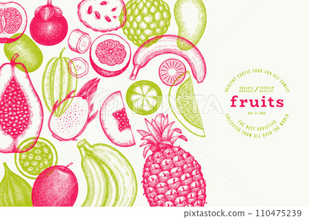 Tropical Fruit Design Template. Vector Hand Drawn Exotic Fruit Banner. Vintage Style Menu Illustration. Tropical Fruit Design Template. Vector Hand Drawn Exotic Fruit Banner. Vintage Style Menu Illustration. 110475239