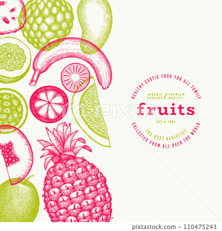 Tropical Fruit Design Template. Vector Hand Drawn Exotic Fruit Banner. Vintage Style Menu Illustration. Tropical Fruit Design Template. Vector Hand Drawn Exotic Fruit Banner. Vintage Style Menu Illustration. 110475243