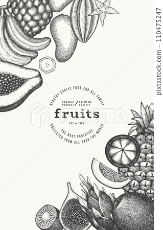 Tropical Fruit Design Template. Vector Hand Drawn Exotic Fruit Banner. Vintage Style Menu Illustration. 110475247