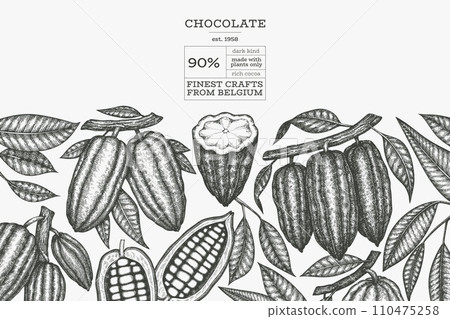 Cocoa design template. Chocolate cocoa beans background. Vector hand drawn illustration. Vintage style illustration. 110475258