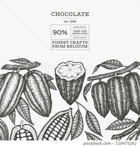 Cocoa design template. Chocolate cocoa beans background. Vector hand drawn illustration. Vintage style illustration. Cocoa design template. Chocolate cocoa beans background. Vector hand drawn illustration. Vintage style illustration. 110475262