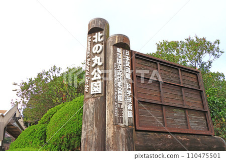 Scenery of Kitanomaru Park, Chiyoda-ku, Tokyo 110475501