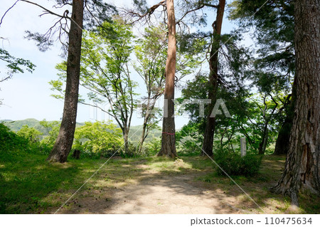 Joetsu City, Niigata Prefecture_Kasugayama Castle Ohanabatake Ruins 1_2023_April 110475634