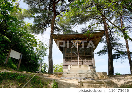 Joetsu City, Niigata Prefecture_Kasugayama Castle Bishamondo 3_2023_April 110475636