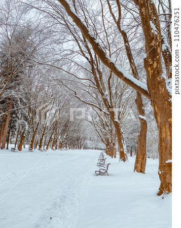 winter city public park 110476251