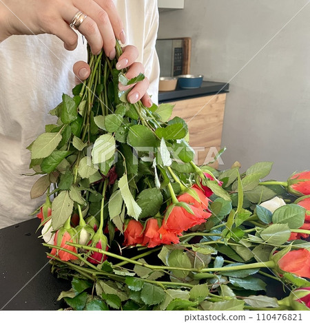 Female hands make a beautiful bouquet of red and white small roses Female hands make a beautiful bouquet of red and white small roses 110476821