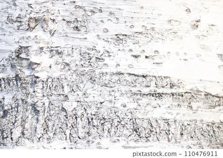 Birch bark background texture 110476911