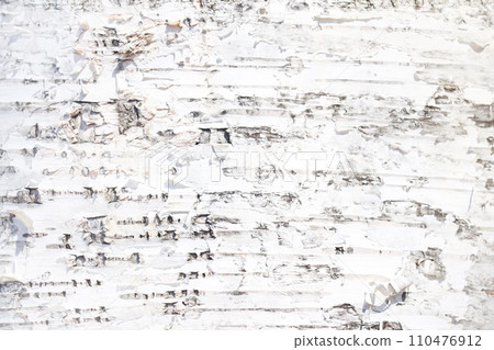 Birch bark background texture Birch bark background texture 110476912