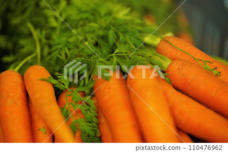 Bunch of bright orange carrots with green leaves, shallow depth of field photo, only small part of orange tuber in focus Bunch of bright orange carrots with green leaves, shallow depth of field photo, only small part of orange tuber in focus 110476962